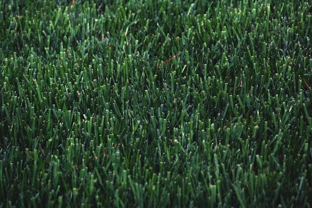 Turf Care